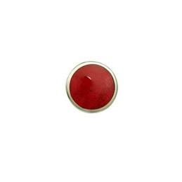 Elegant Dark Red Titanium Earrings