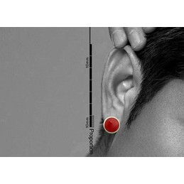 Elegant Dark Red Titanium Earrings