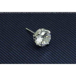 Pretty White Sparkling Titanium Earrings