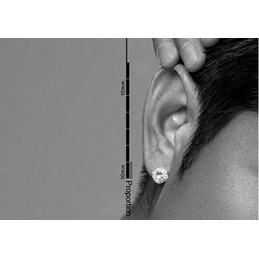 Pretty White Sparkling Titanium Earrings