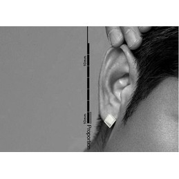 Simple Fashion Diamond Titanium Earrings