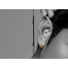 Light brown Round Titanium Earrings