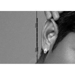 Simple And Beautiful Curved Titanium Earrings