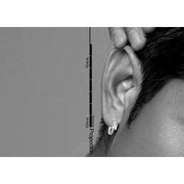 Popular flashing Ring Titanium earrings