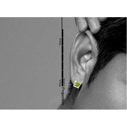 Charming Emerald Titanium Earrings