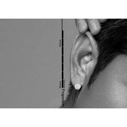 Noble Circular Stripes Titanium Earrings