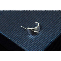 Elegan Wavy silver titanium earrings 