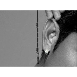 Elegan Wavy silver titanium earrings 