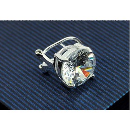 Eye-catching Shiny Titanium Earrings