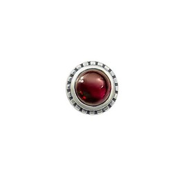 Valued Crimson Titanium Earrings 