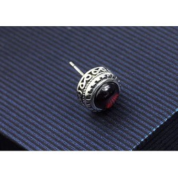 Valued Crimson Titanium Earrings 
