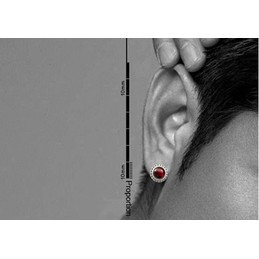 Valued Crimson Titanium Earrings 