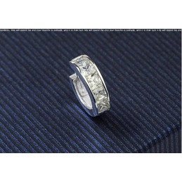 Eye-catching Ring Titanium Earrings
