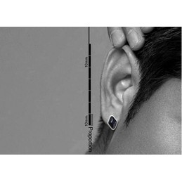 Titanium Diamond Fashion Earrings