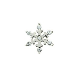 Lovely Snowflake-shaped Titanium Earrings