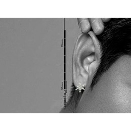 Lovely Snowflake-shaped Titanium Earrings