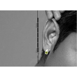 New Style Green Titanium Earrings