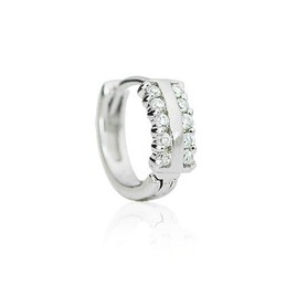 Gorgeous Sparkling Earrings Titanium 