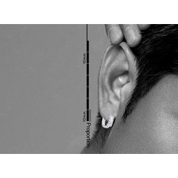Gorgeous Sparkling Earrings Titanium 
