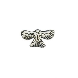 Cool Man Eagle-shaped Titanium Earrings