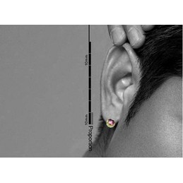 Dazzling Color Crystal Titanium Earrings 