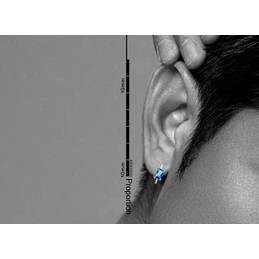 Blue Square Crystal Titanium Earrings