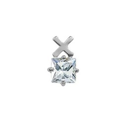 With Letter X Silver Titanium Earrings