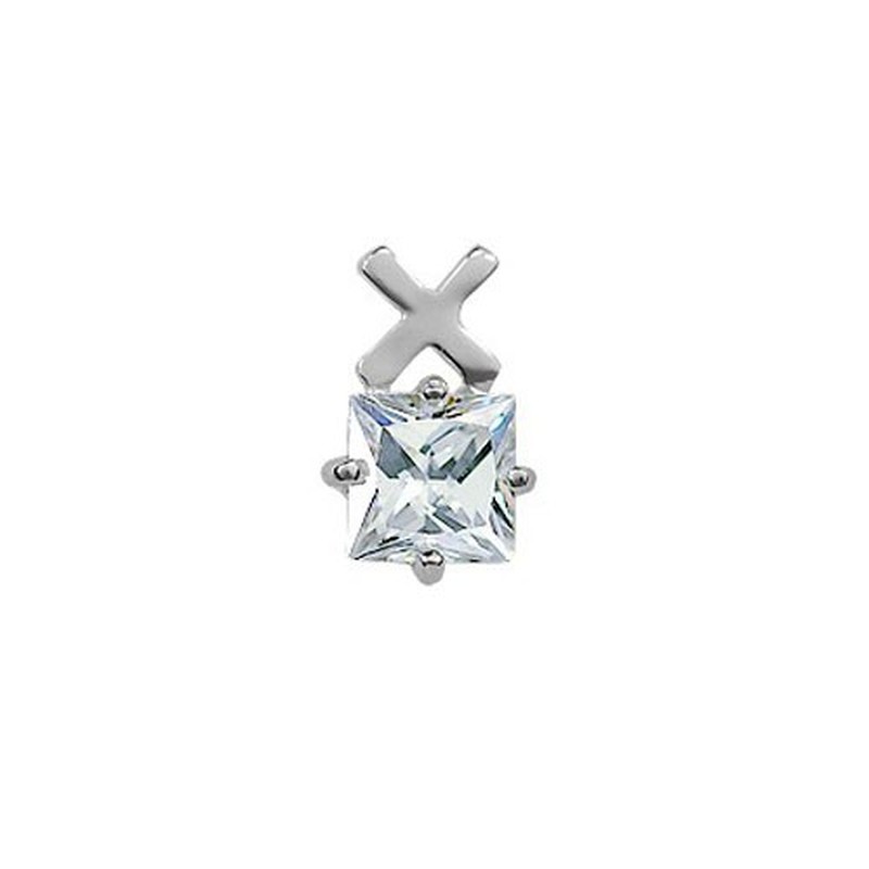 With Letter X Silver Titanium Earrings