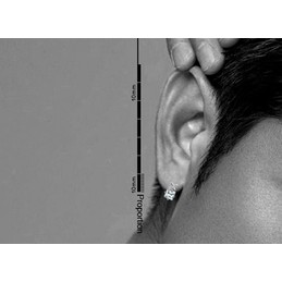 With Letter X Silver Titanium Earrings