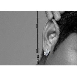Round Silver Flower Titanium Earrings