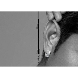 Round With White crystal Titanium Earrings