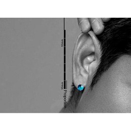 Multi-faceted Spherical Crystal Titanium Earrings