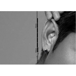 Four Claws Black Zircon Titanium Earrings