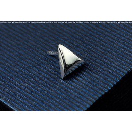 Shining Silver Triangular Titanium Earrings