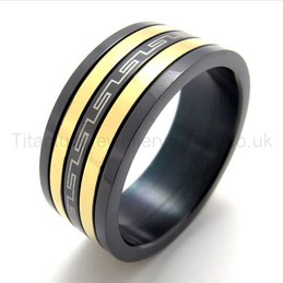 Two Colored Titanium Ring 19946