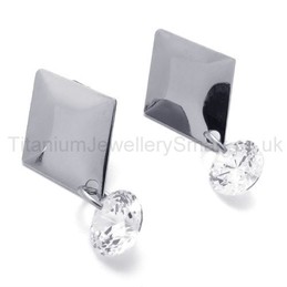 Silver With Diamond Titanium Earrings 19985