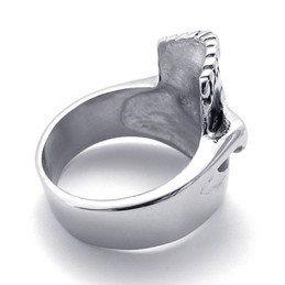 Skull Titanium Ring 20948