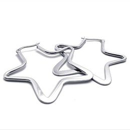 Star Titanium Earrings 20575