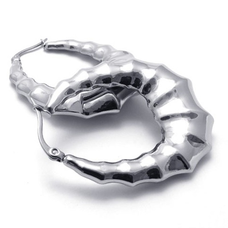 Horn Titanium Earings 20598