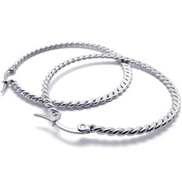 Ring Braid Titanium Earrings 20815