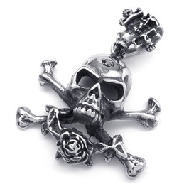 Titanium Skull Pendant Necklace (Free Chain)