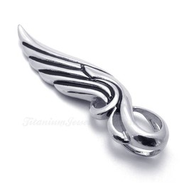 Titanium Feather Pendant Necklace (Free Chain)