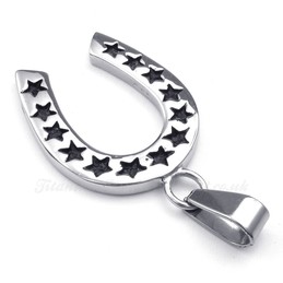 Titanium Horseshoe Pendant Necklace (Free Chain)