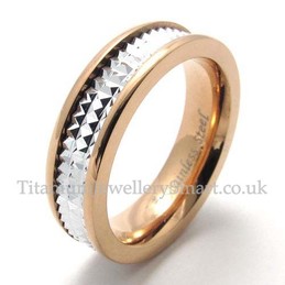 Titanium His and Hers Ring (Women)
