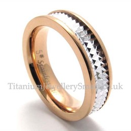Titanium His and Hers Ring (Women)