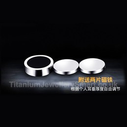 Titanium Unisex EarRing