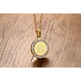 Men's Titanium Pendant 29 mm Zircon PN-627
