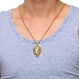 Men's Titanium Pendant Zircon Lion PN-956