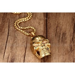 Unisex Titanium Pendant Skull PN-140